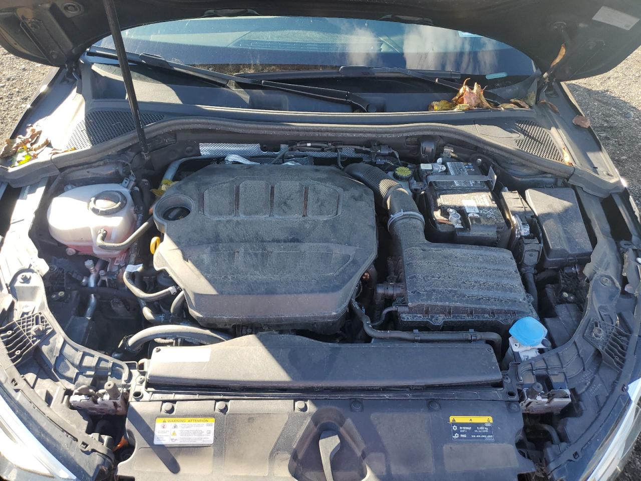 2023 Audi A3 Premium Plus VIN: WAUHUDGYXPA061996 Lot: 81965145