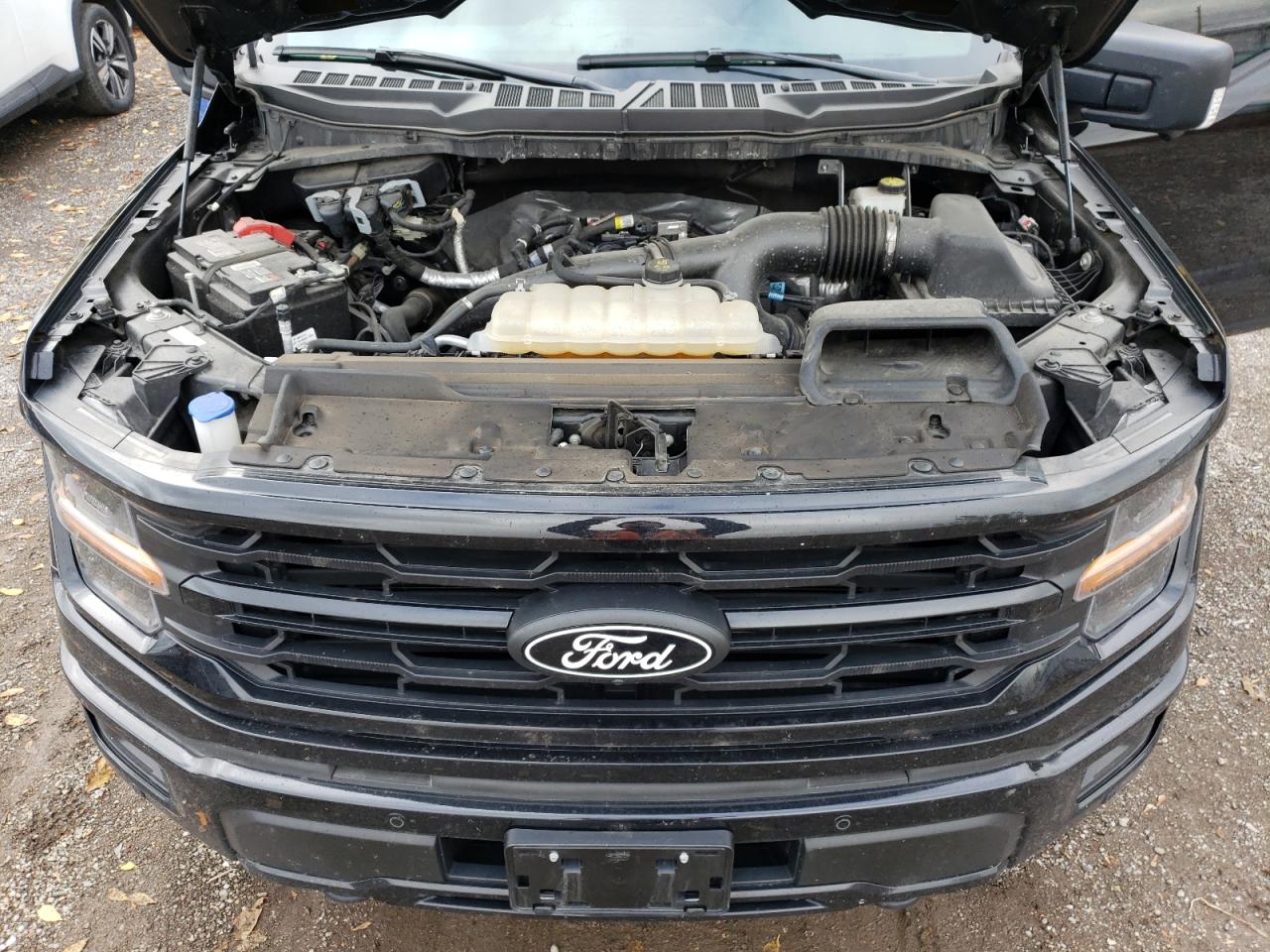 2024 Ford F150 Xlt VIN: 1FTEW3LP1RFA54030 Lot: 87362075