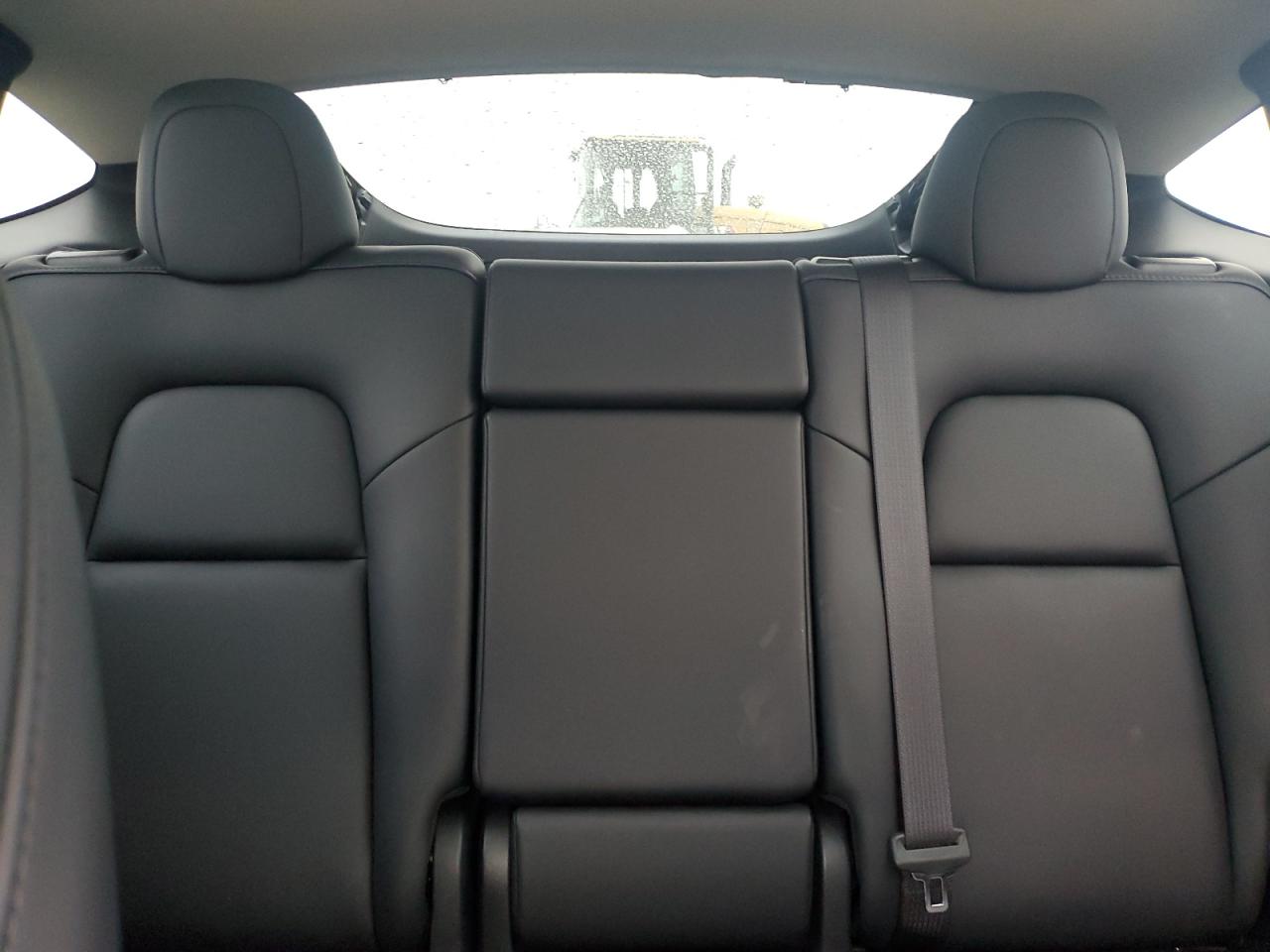 2024 Tesla Model Y VIN: 7SAYGDEE8RF155892 Lot: 81881675