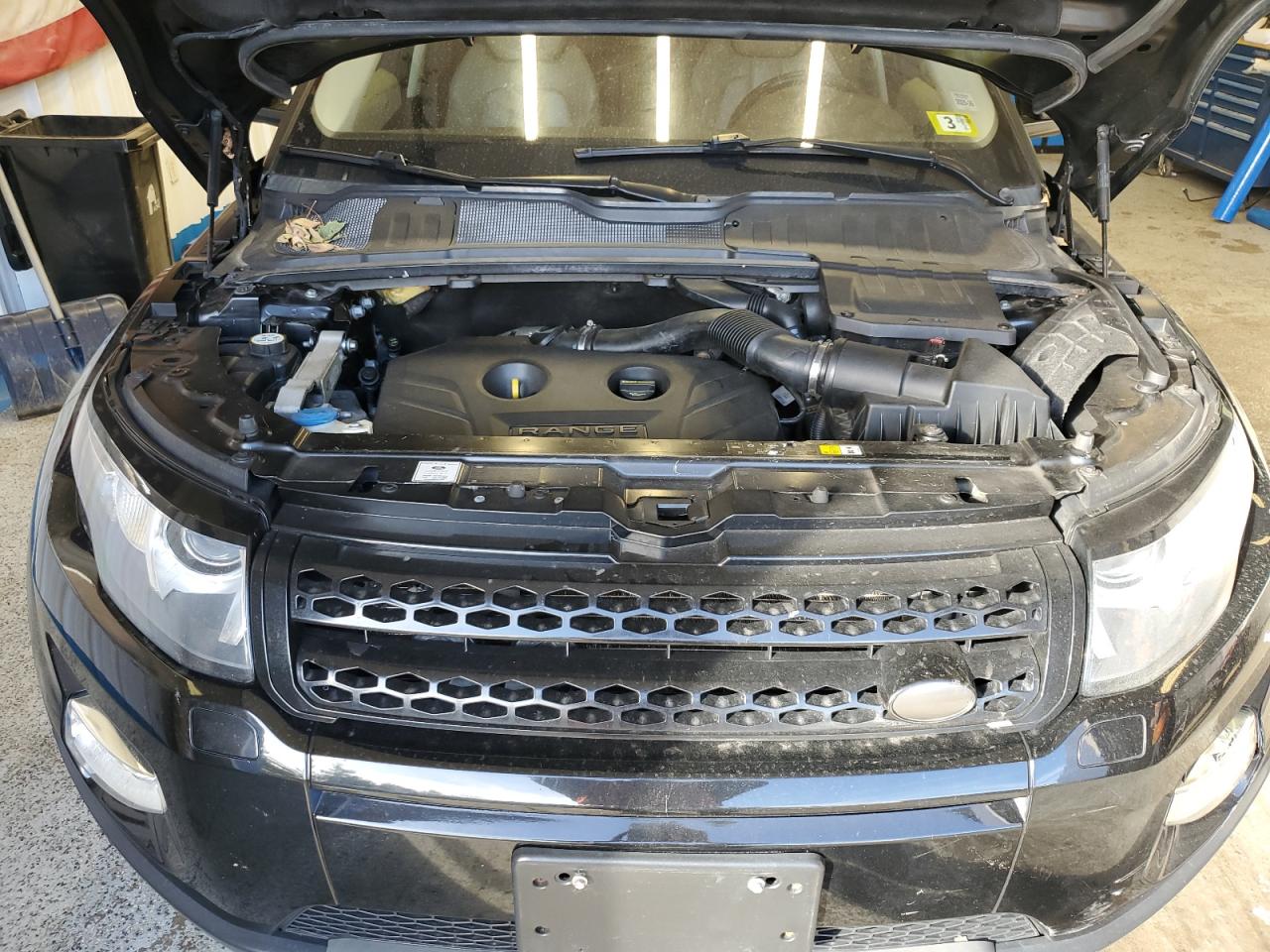 2013 Land Rover Range Rover Evoque Pure Plus VIN: SALVP2BG3DH813338 Lot: 86272855