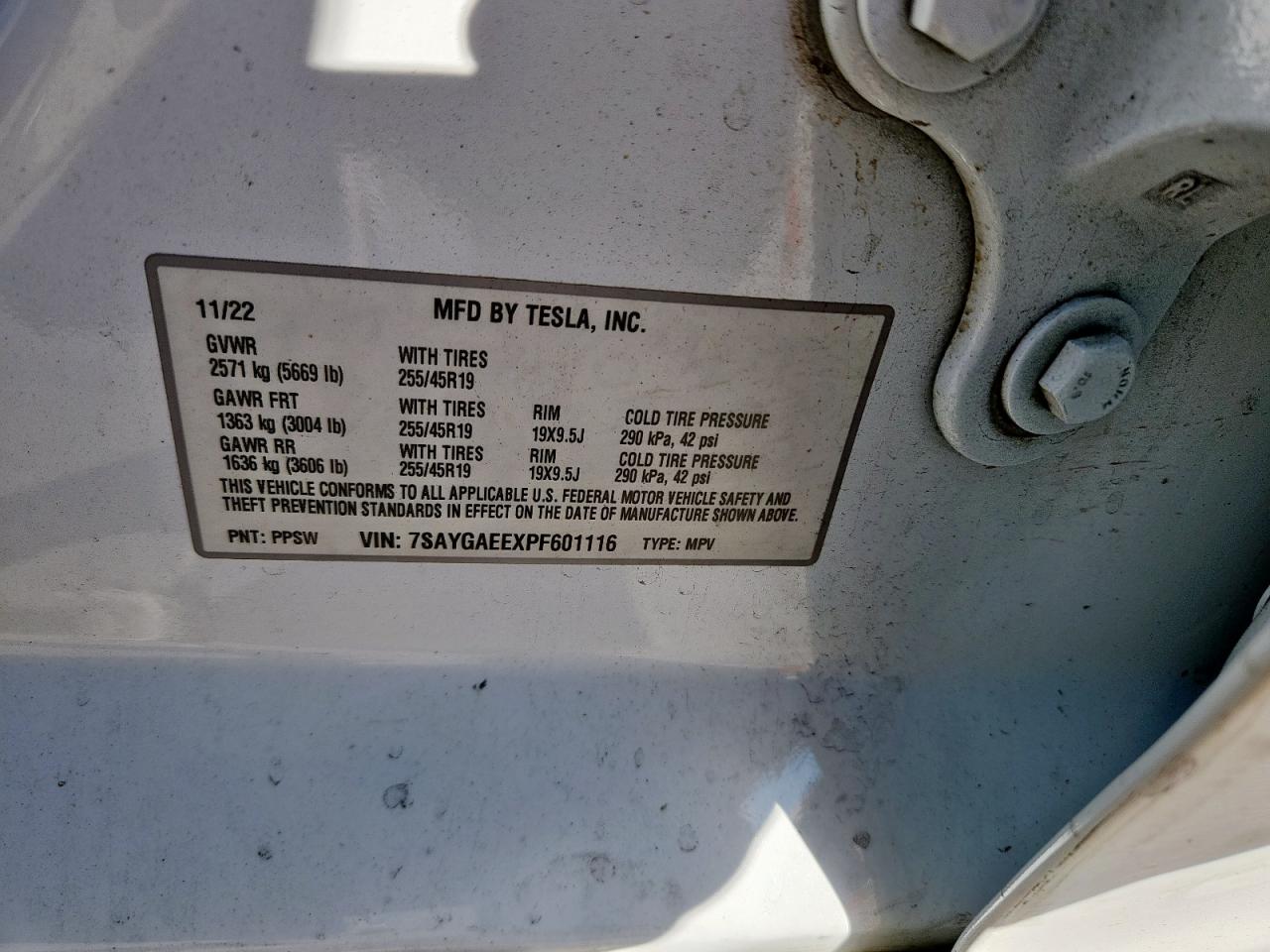 2023 Tesla Model Y VIN: 7SAYGAEEXPF60116 Lot: 90636225