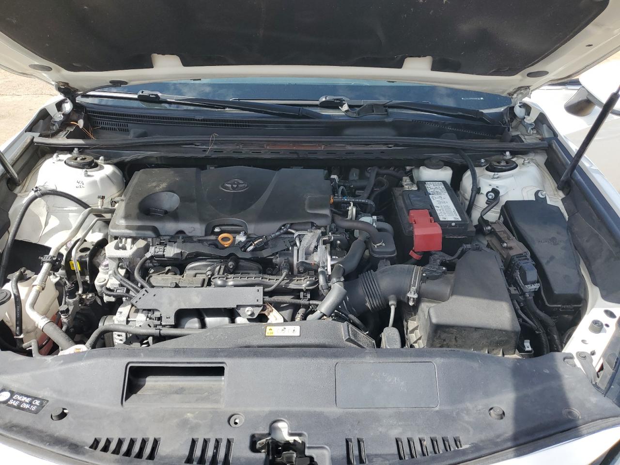 2020 Toyota Camry Le VIN: 4T1C11AK6LU360494 Lot: 81954155