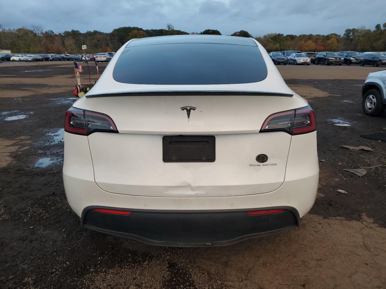 2020 Tesla Model Y VIN: 5YJYGDEE7LF024862 Lot: 86545435