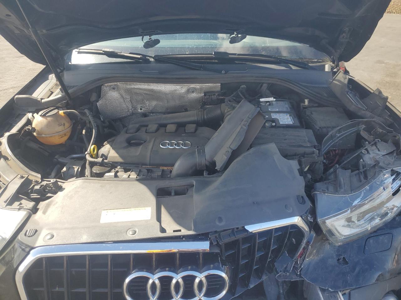 2015 Audi Q3 Premium Plus VIN: WA1EFCFS1FR006757 Lot: 81930715