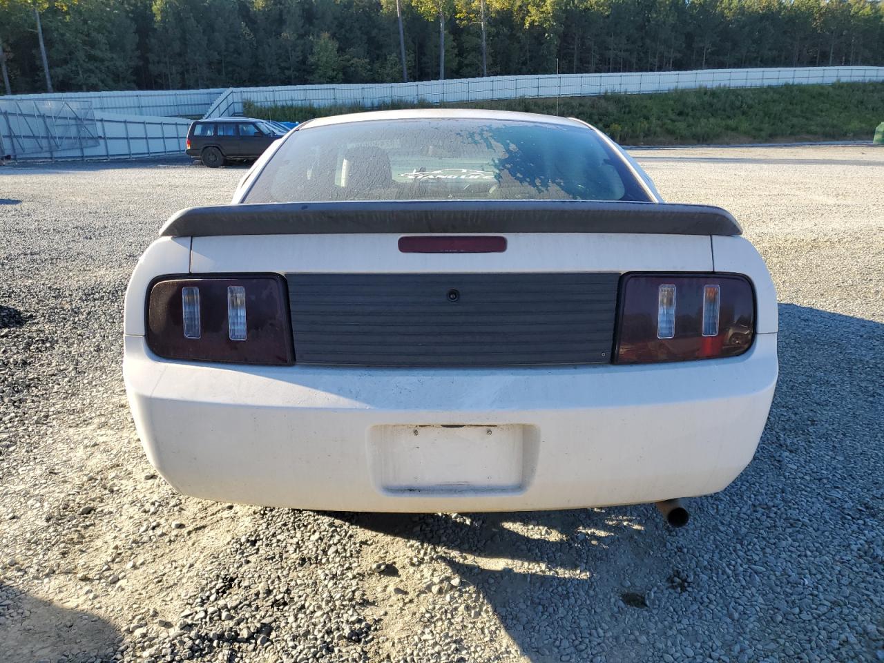 2005 Ford Mustang VIN: 1ZVFT80NX55103641 Lot: 82490805