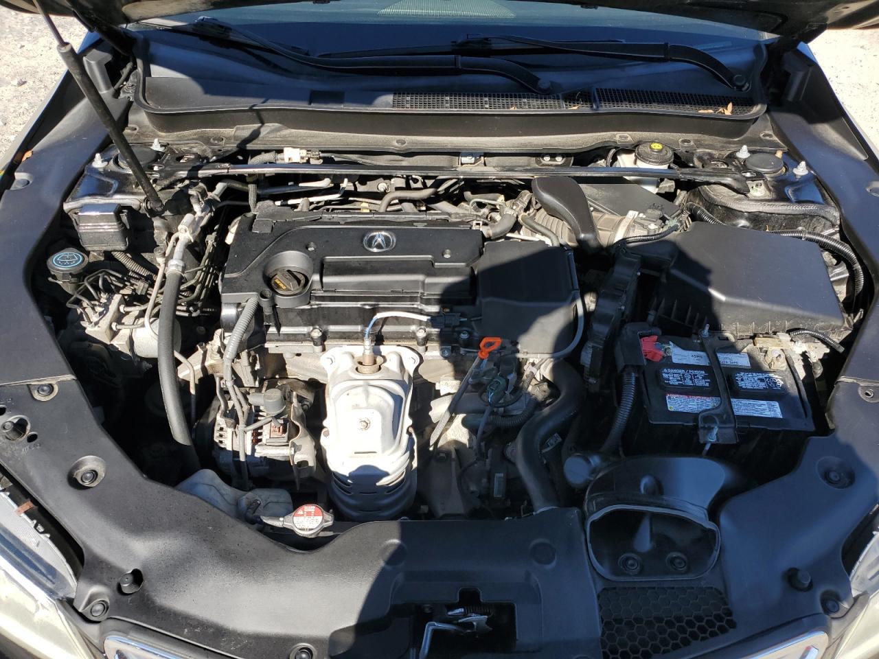 2016 Acura Tlx VIN: 19UUB1F32GA008531 Lot: 84169195