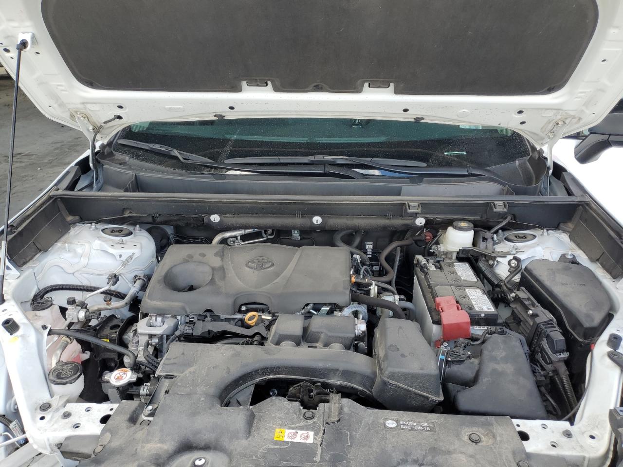 2024 Toyota Rav4 Le VIN: 2T3F1RFV4RW442349 Lot: 85174815