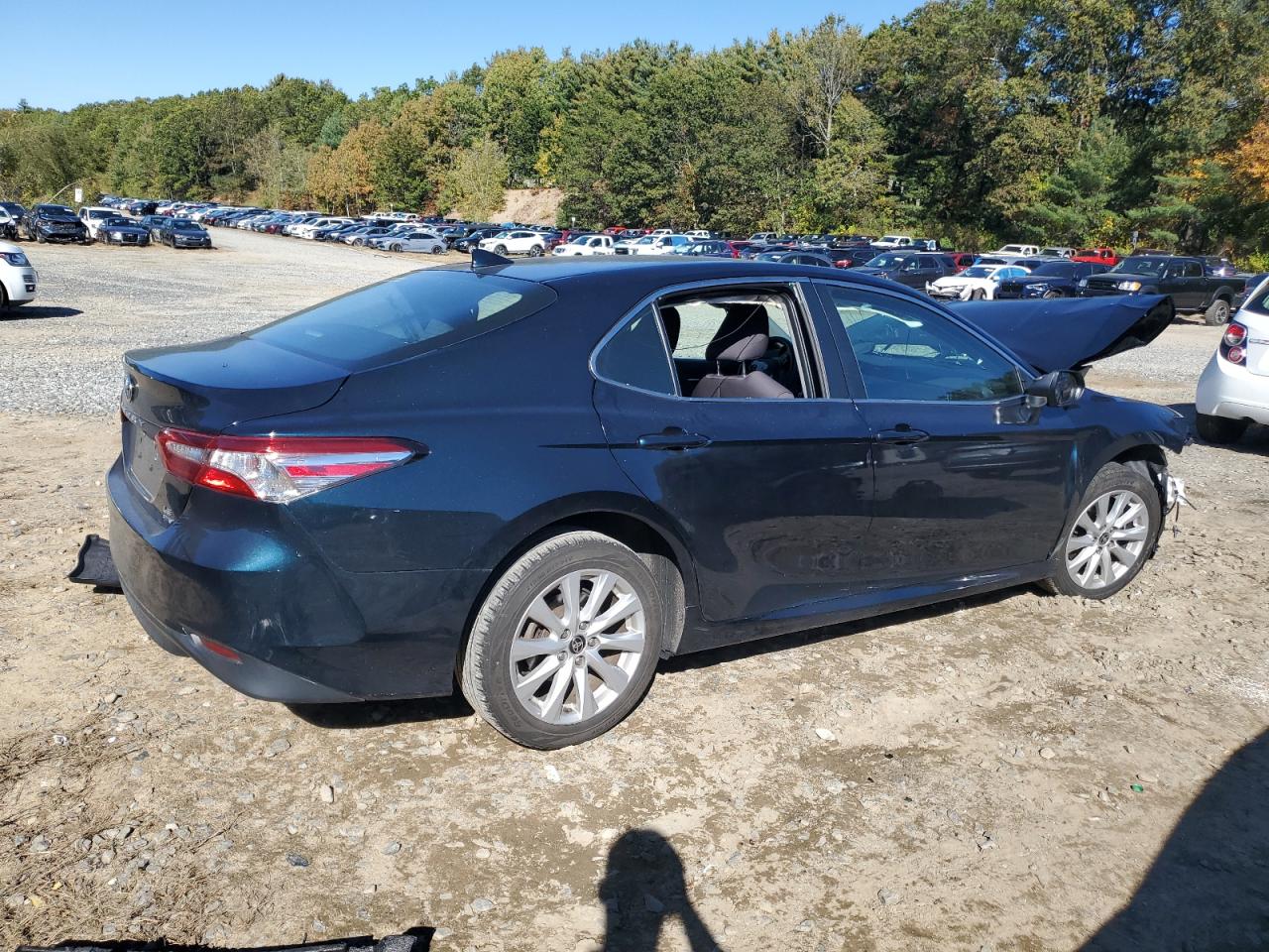 2020 Toyota Camry Le VIN: 4T1C11BK2LU016322 Lot: 86304165