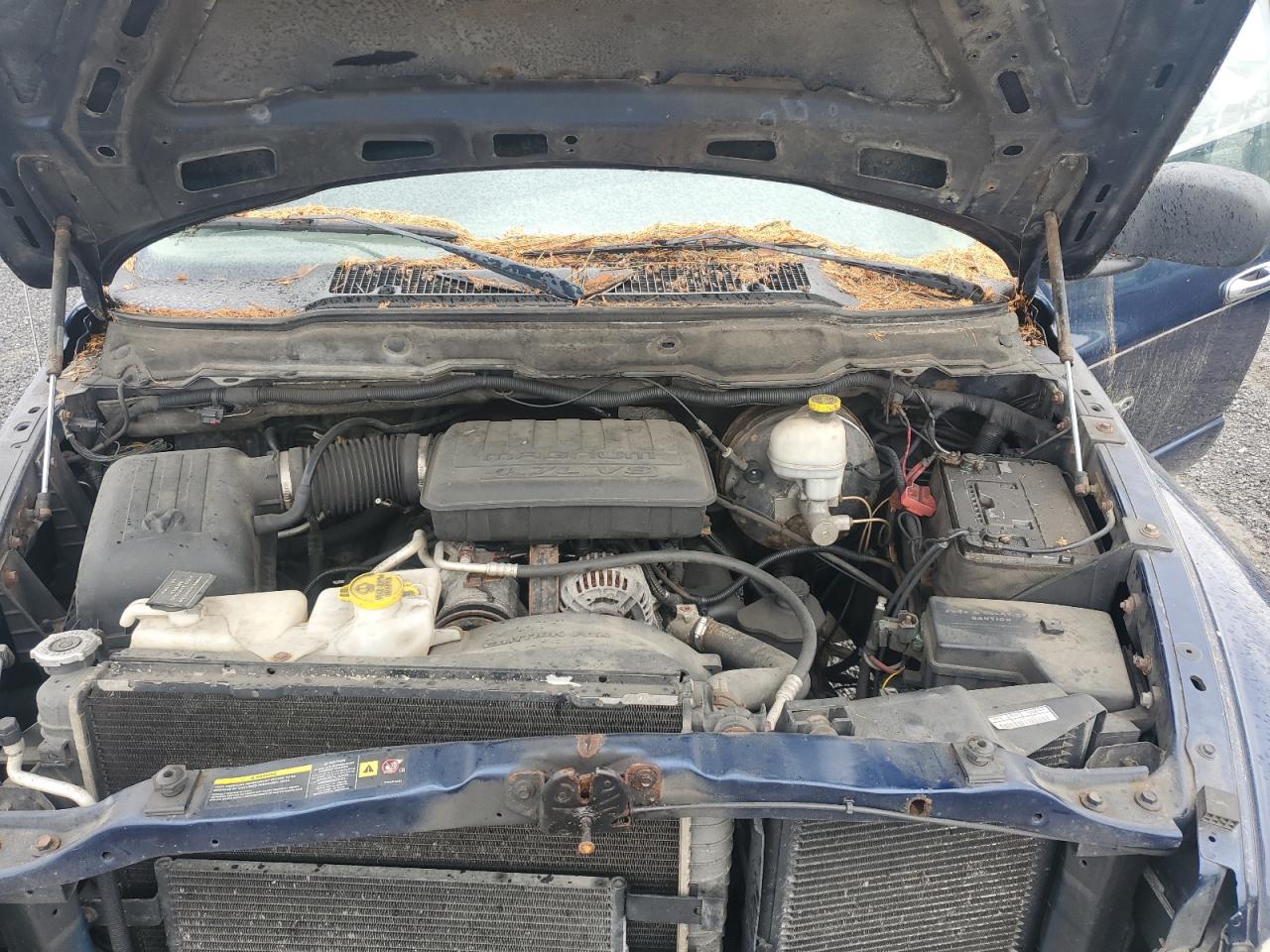 2005 Dodge Ram 1500 St VIN: 1D7HU18N95J520489 Lot: 82724995