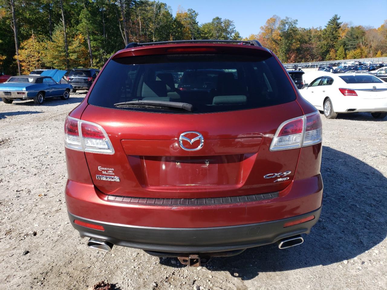2009 Mazda Cx-9 VIN: JM3TB38V490178961 Lot: 85701205