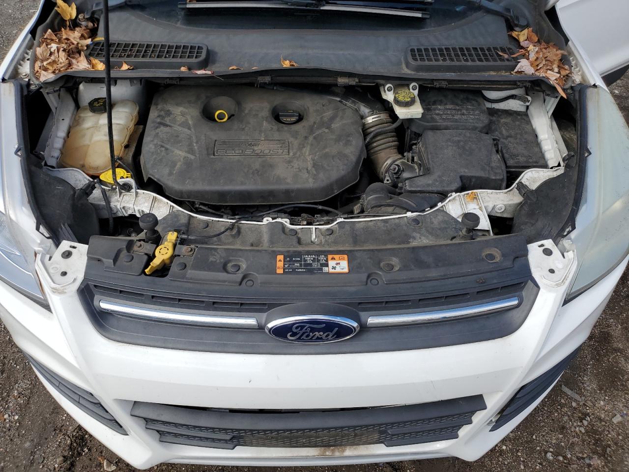 2014 Ford Escape Se VIN: 1FMCU9G97EUC26770 Lot: 82297175