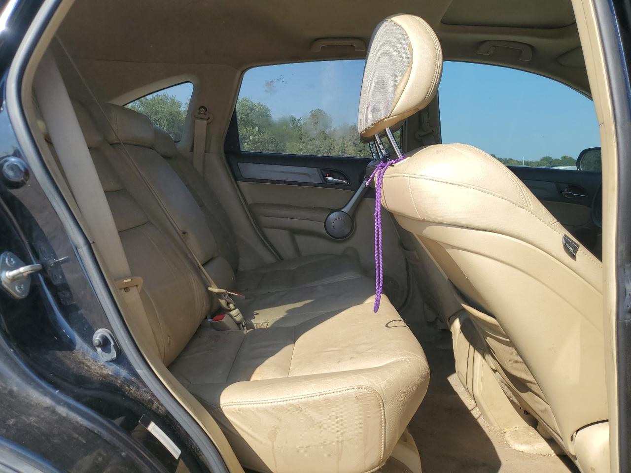 2008 Honda Cr-V Exl VIN: JHLRE48728C053491 Lot: 81863755