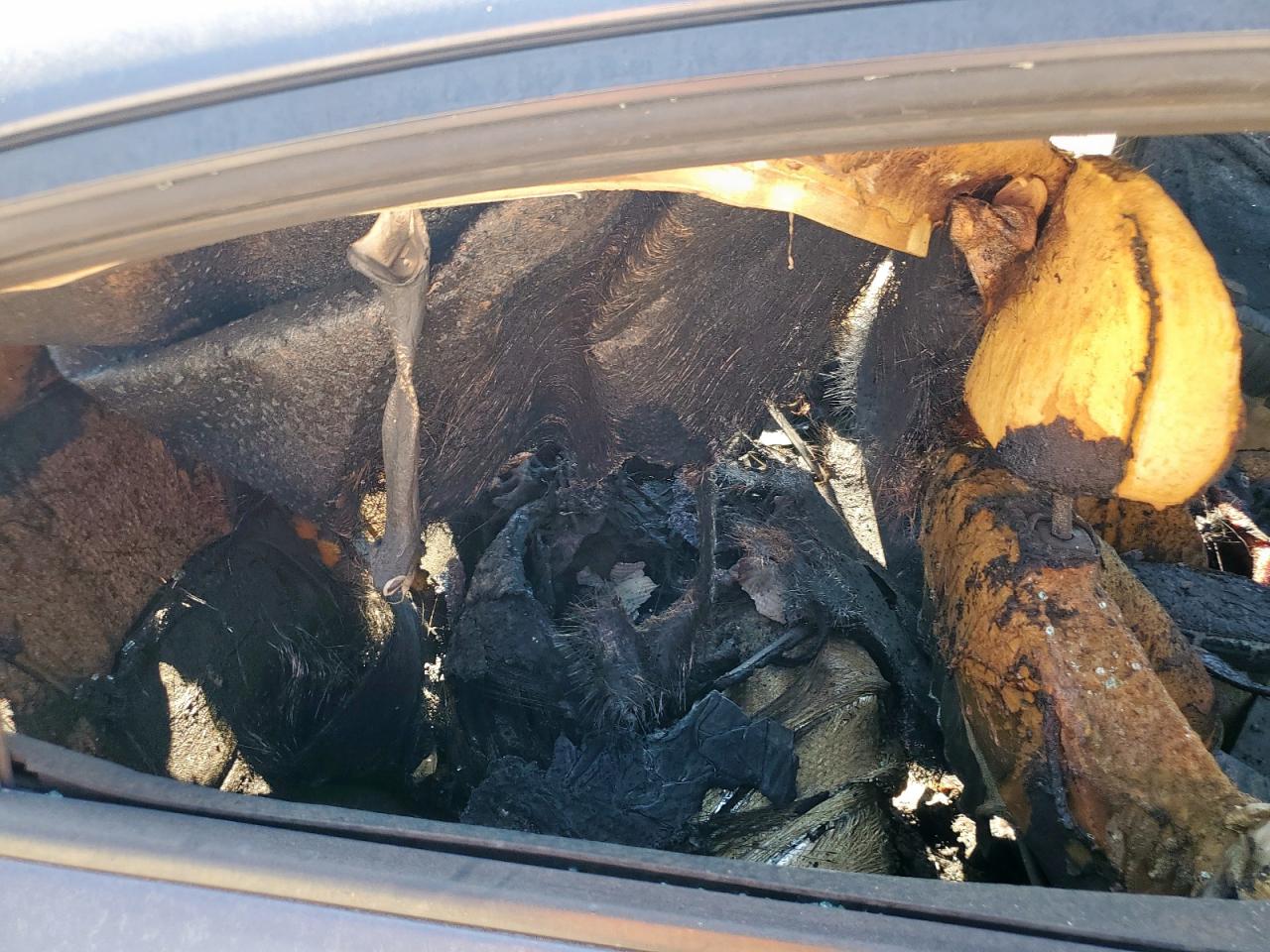 2016 Kia Forte Lx VIN: KNAFX4A67G5454000 Lot: 86600005