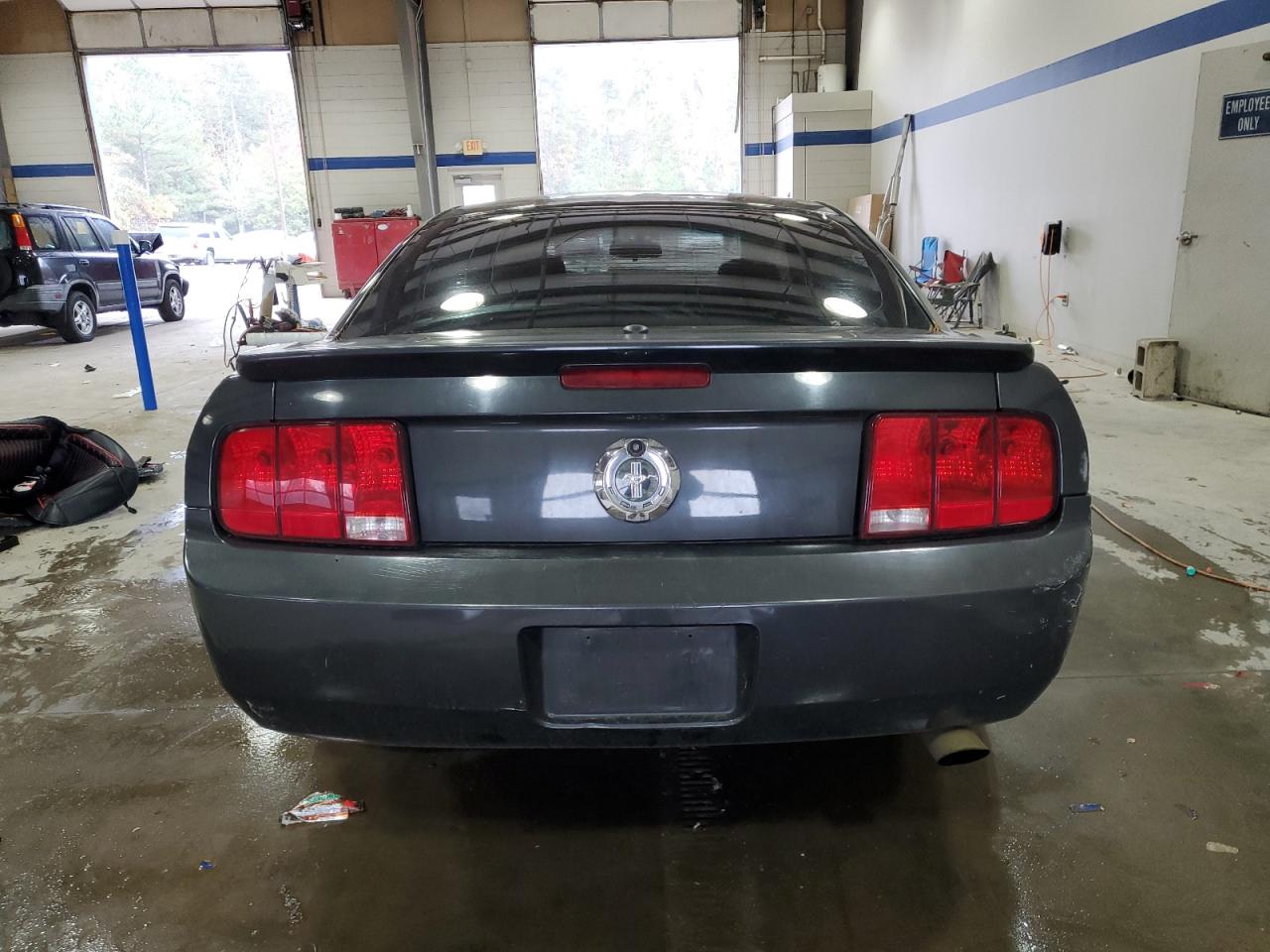 2009 Ford Mustang VIN: 1ZVHT80N695144024 Lot: 90619515