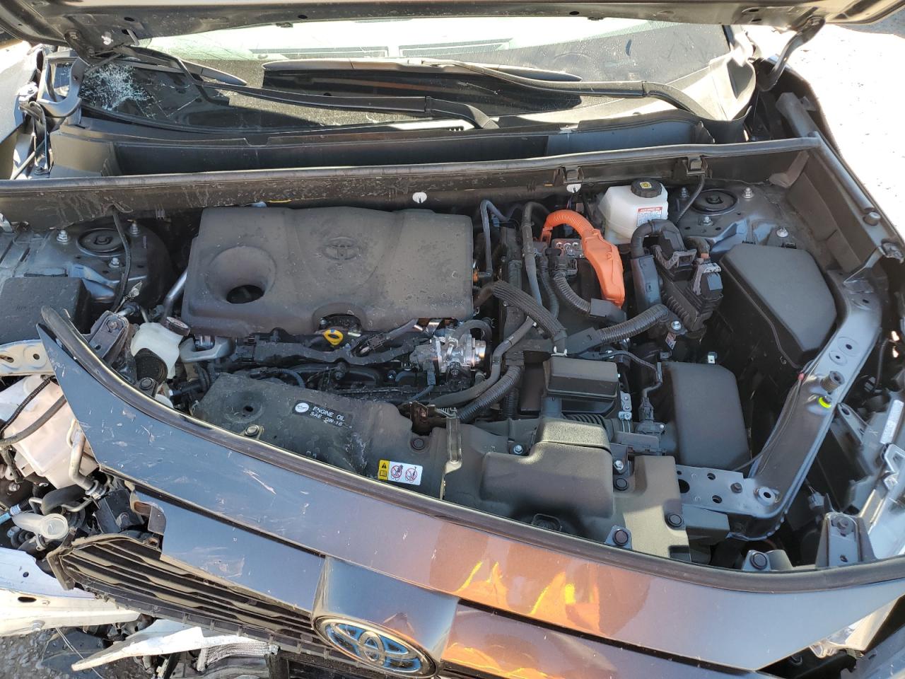 2024 Toyota Rav4 Xle VIN: JTMRWRFV4RD265183 Lot: 82291265