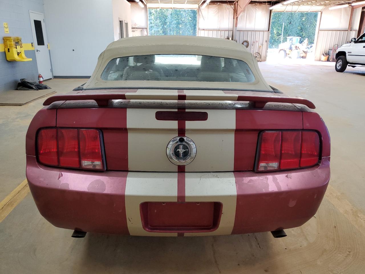2005 Ford Mustang VIN: 1ZVFT84N155197242 Lot: 86539625