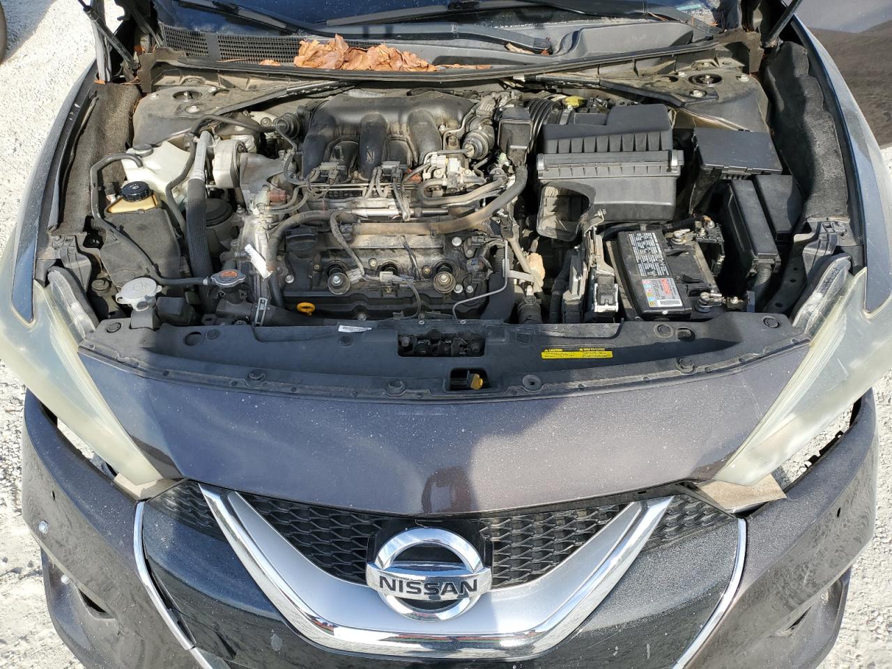 2016 Nissan Maxima 3.5S VIN: 1N4AA6AP5GC441993 Lot: 82742805