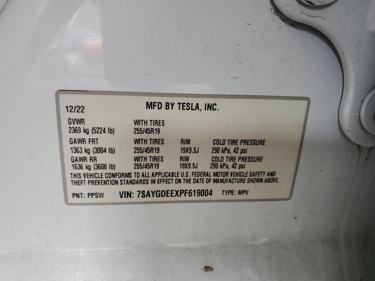 2023 Tesla Model Y VIN: 7SAYGDEEXPF619004 Lot: 82670485