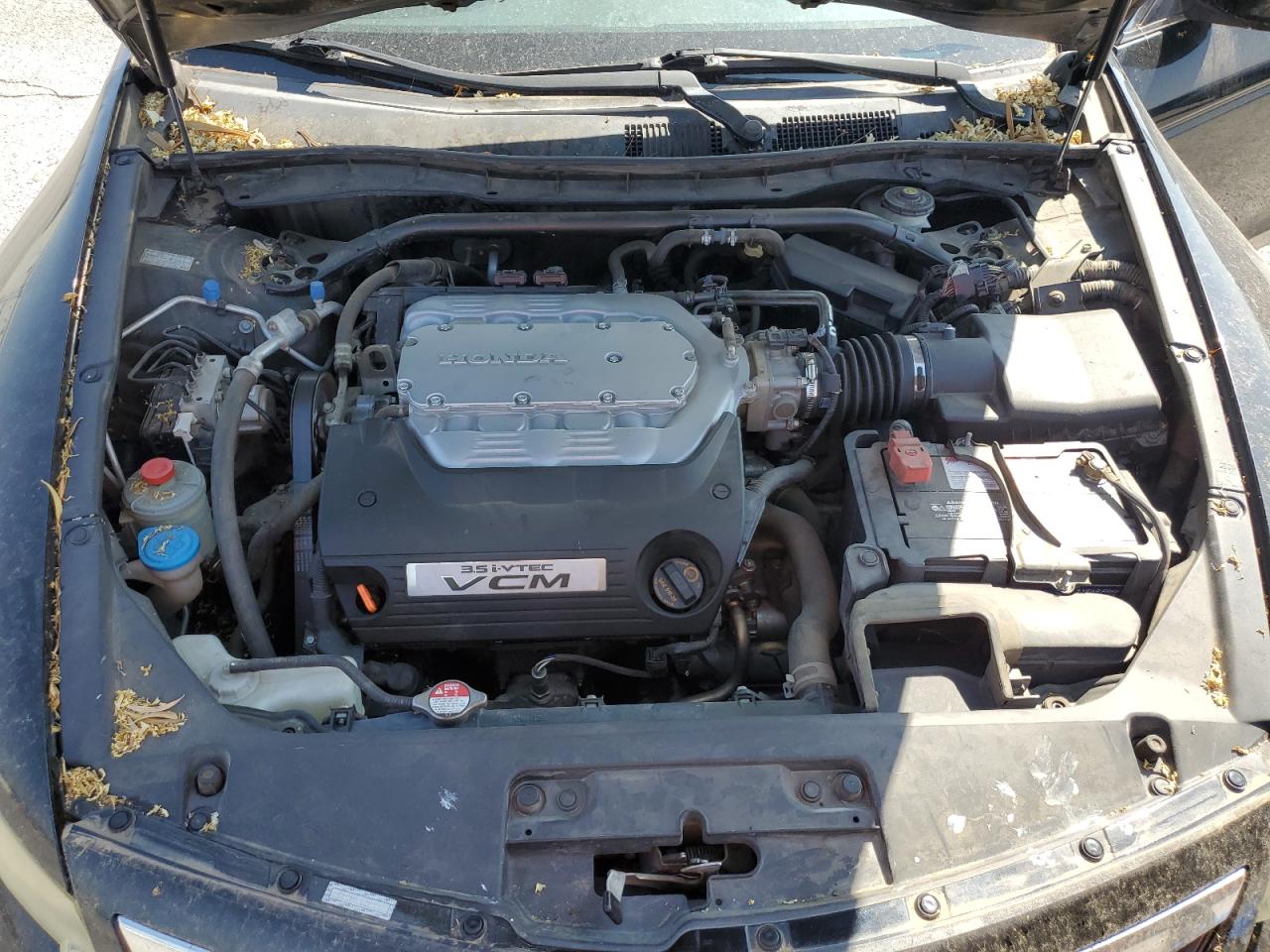 2011 Honda Accord Exl VIN: 1HGCS2B86BA005613 Lot: 85462615