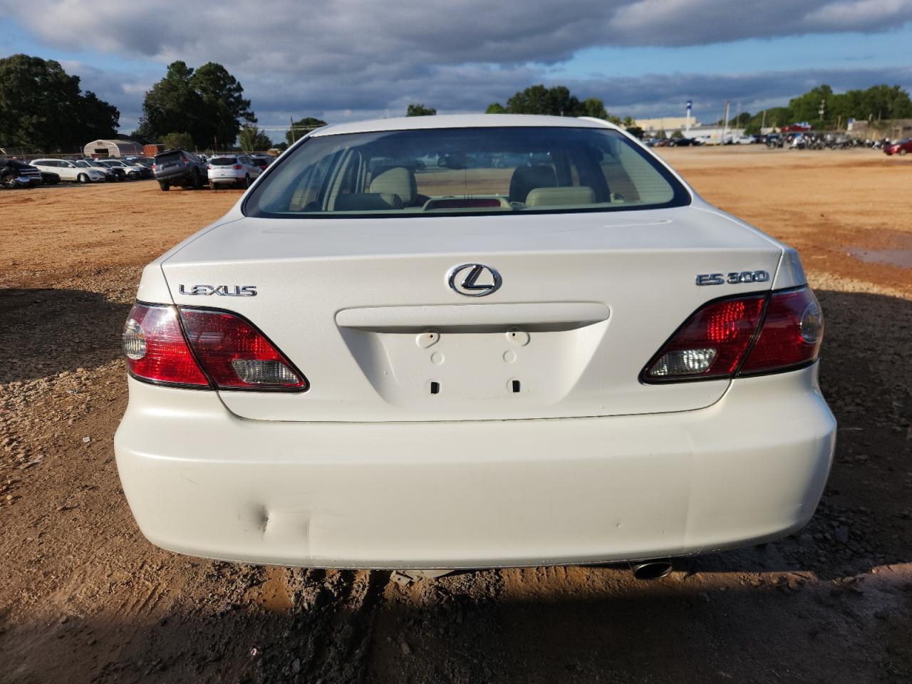 2003 Lexus Es 300 VIN: JTHBF30GX36009732 Lot: 85853645