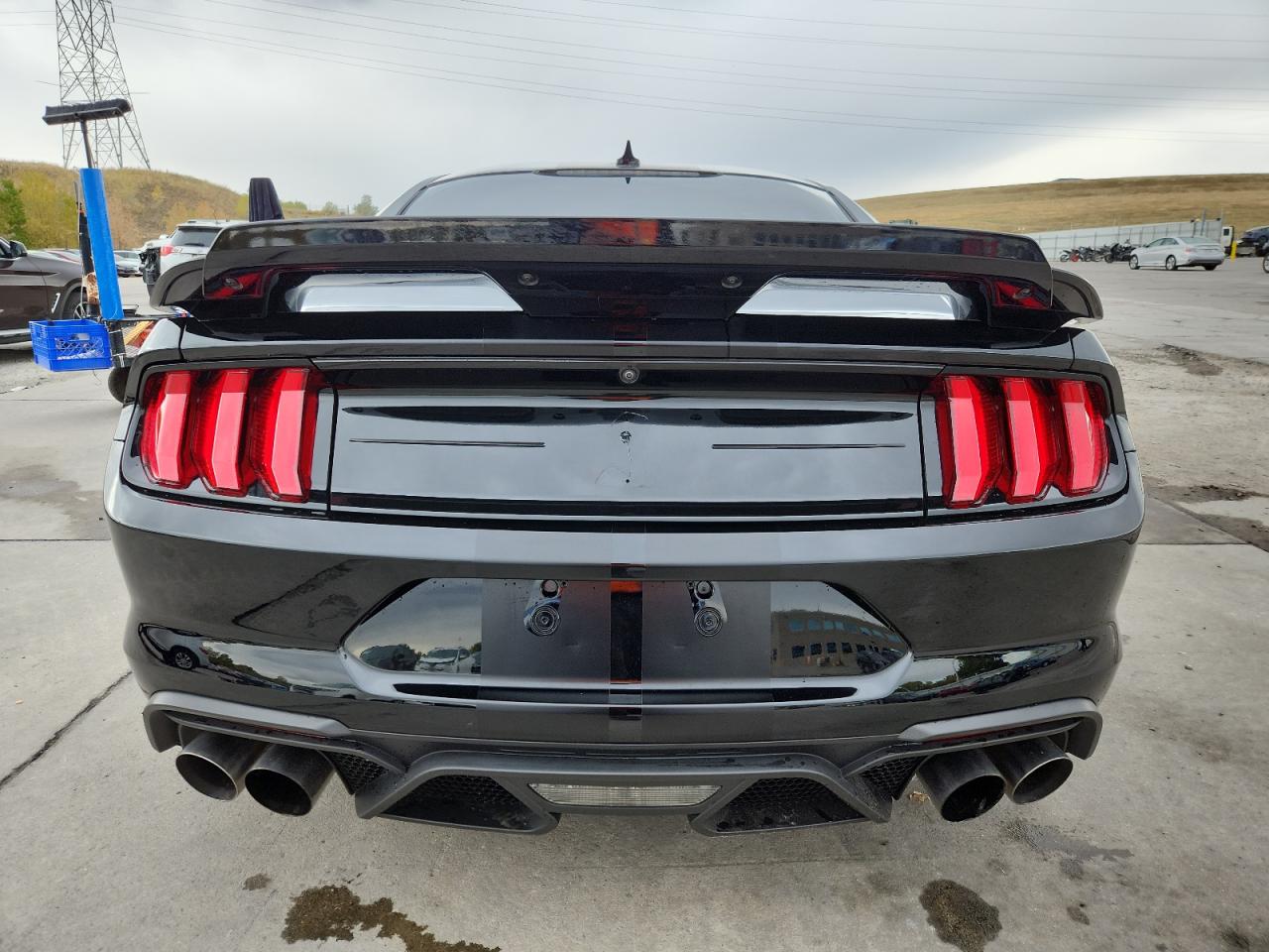 2020 Ford Mustang Shelby Gt500 VIN: 1FA6P8SJXL5504093 Lot: 86160575