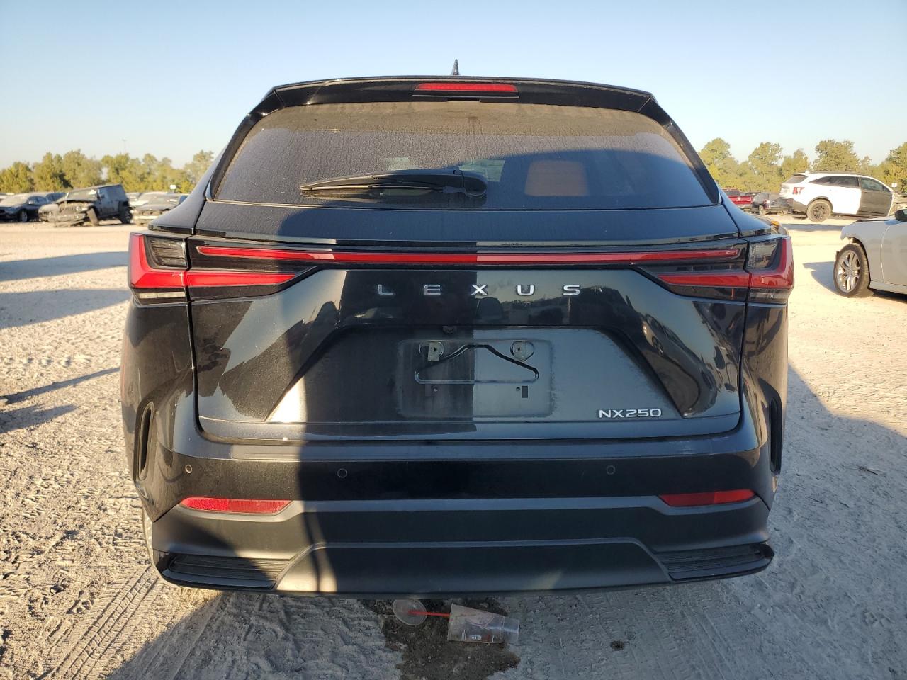 2024 Lexus Nx 250 Premium VIN: 2T2GDCAZ2RC008648 Lot: 82508945