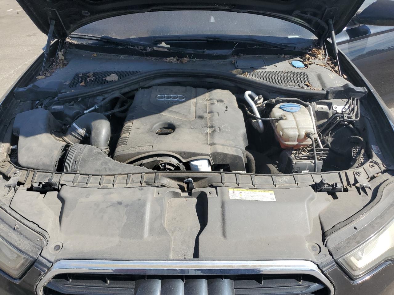 IV (C7) IV (C7)