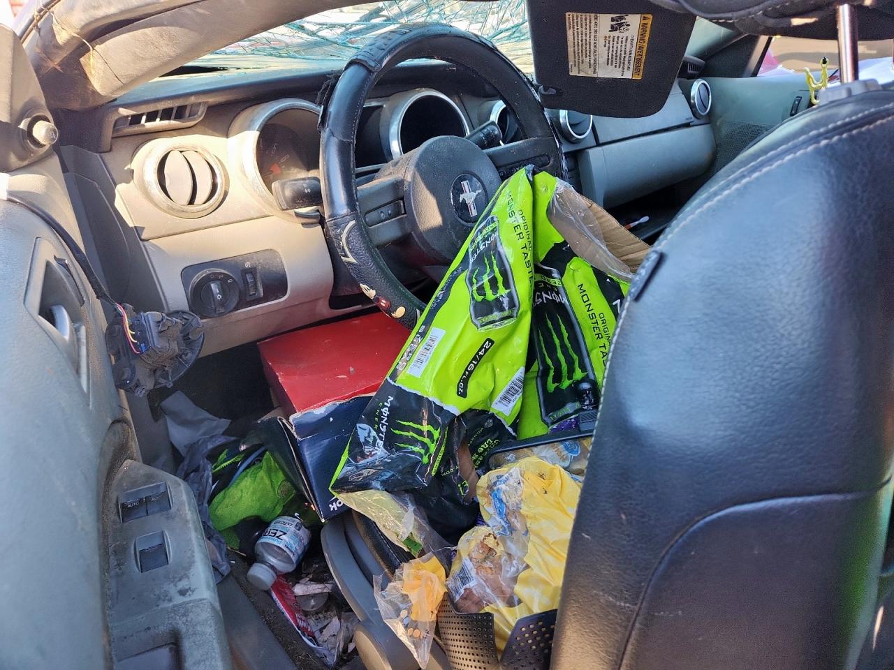 2009 Ford Mustang VIN: 1ZVHT84N495108049 Lot: 90106195