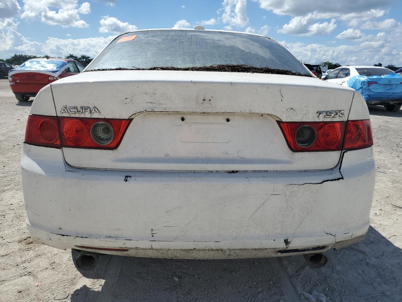 2008 Acura Tsx VIN: JH4CL96998C019041 Lot: 81911865