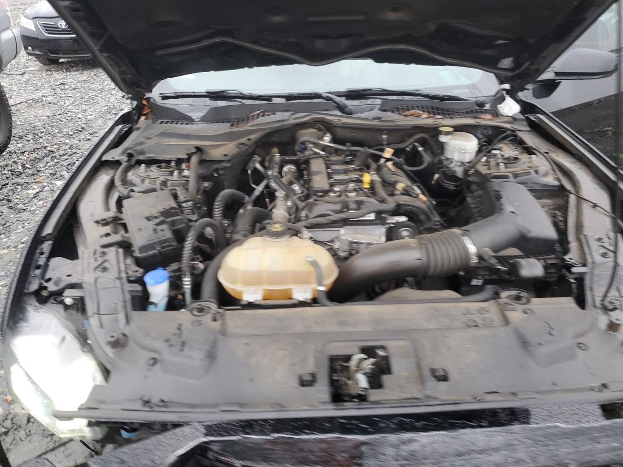 2022 Ford Mustang VIN: 1FA6P8TH4N5143510 Lot: 90549855