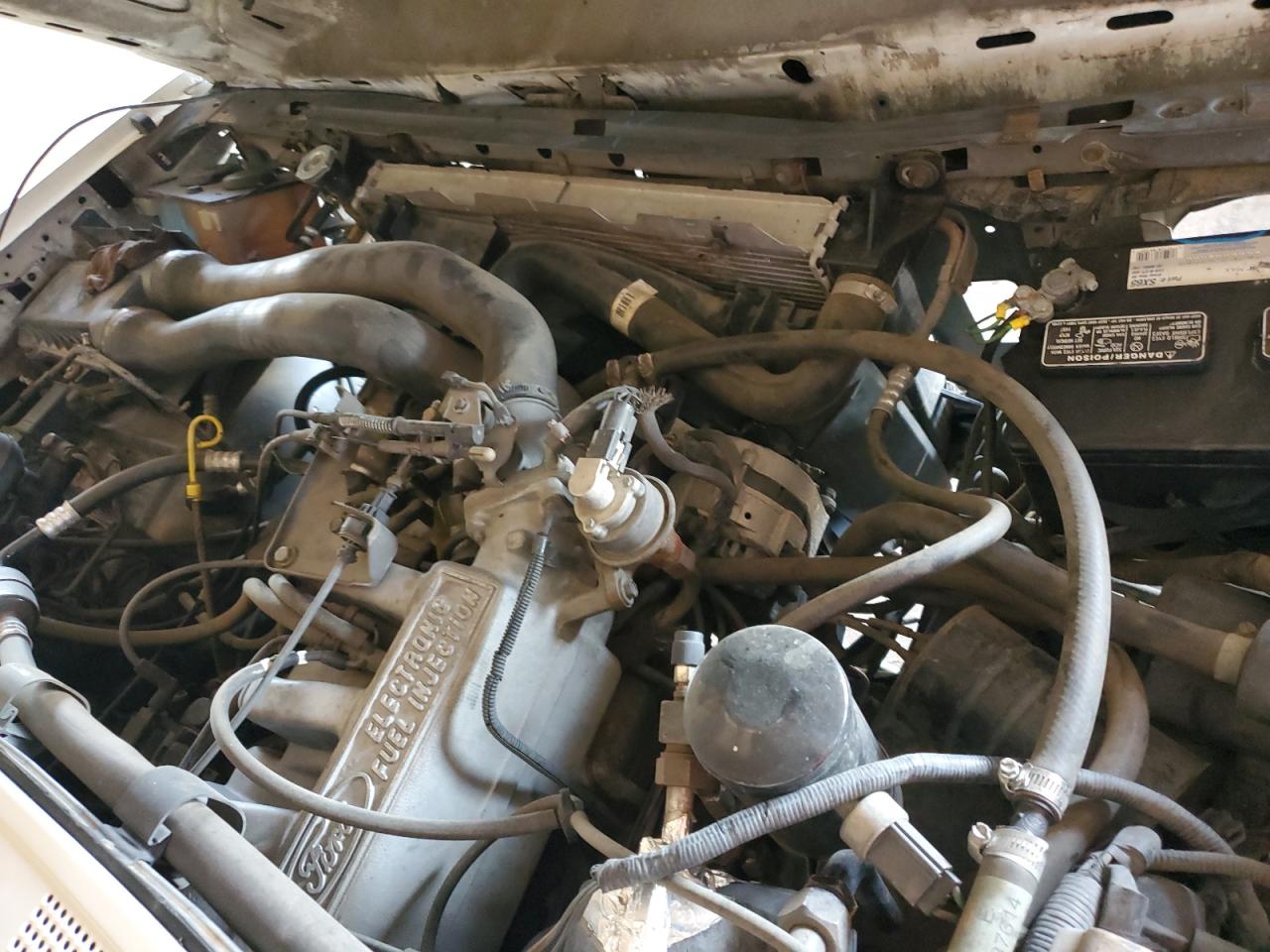 1989 Ford Bronco U100 VIN: 1FMEU15N1KLA11560 Lot: 86901265