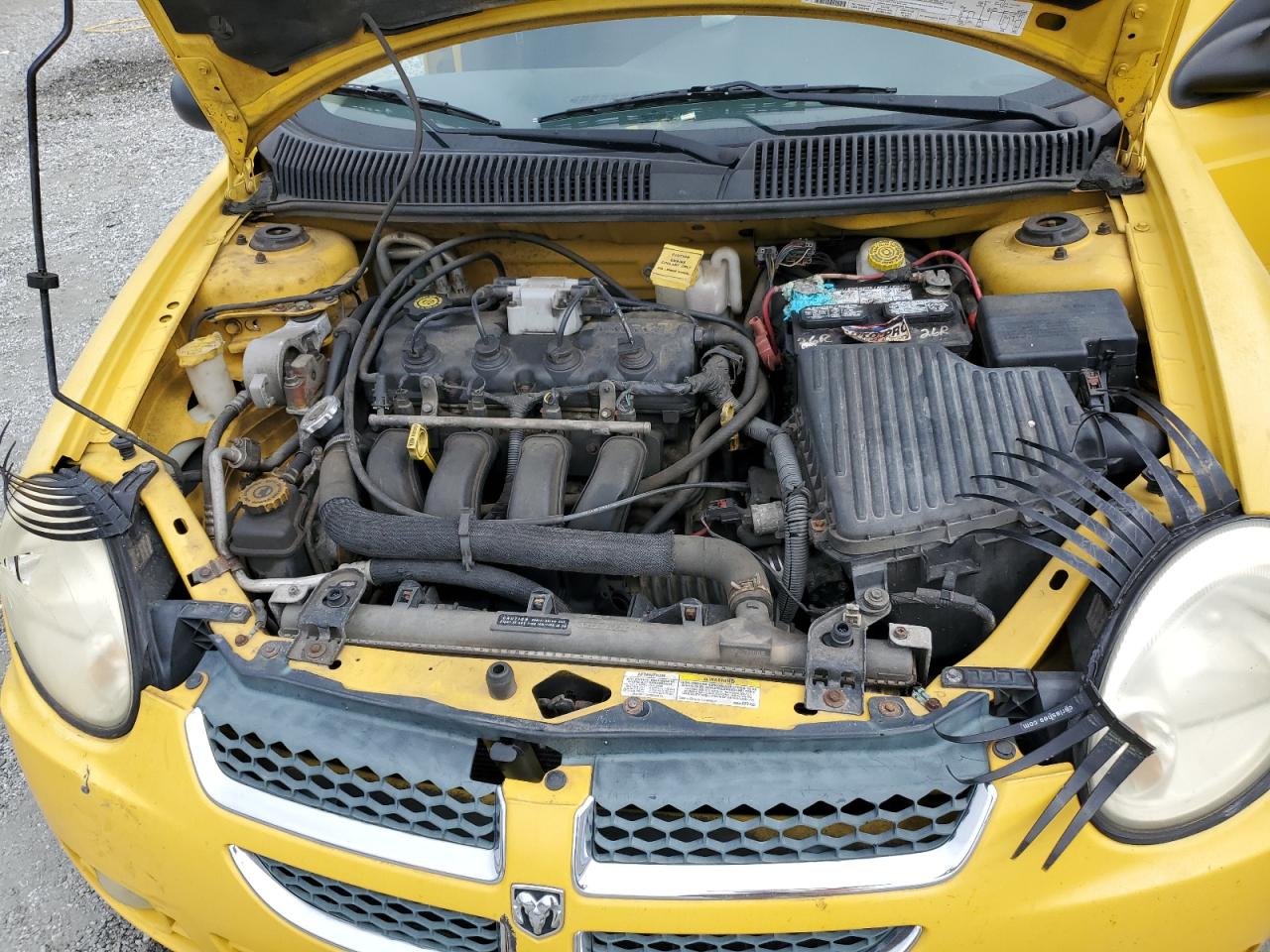 2004 Dodge Neon Sxt VIN: 1B3ES56C84D538802 Lot: 82187635