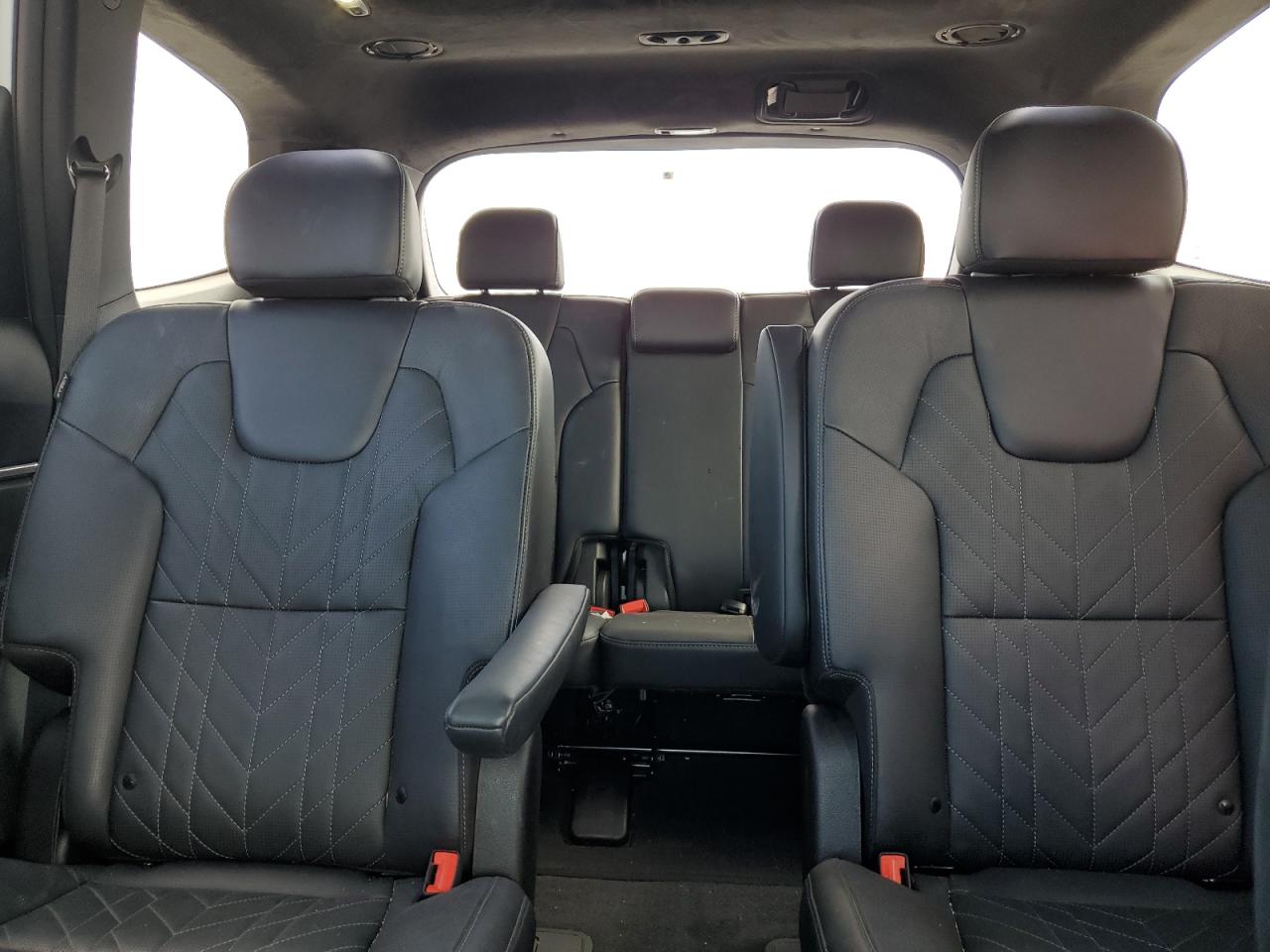 2024 Kia Telluride Sx VIN: 5XYP5DGC1RG442946 Lot: 85476515