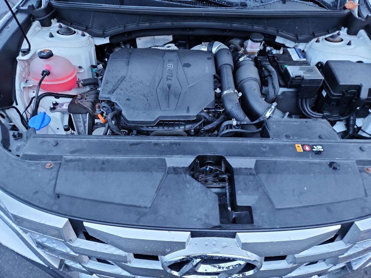 2022 Hyundai Santa Cruz Sel Premium VIN: 5NTJDDAF6NH008215 Lot: 86502775