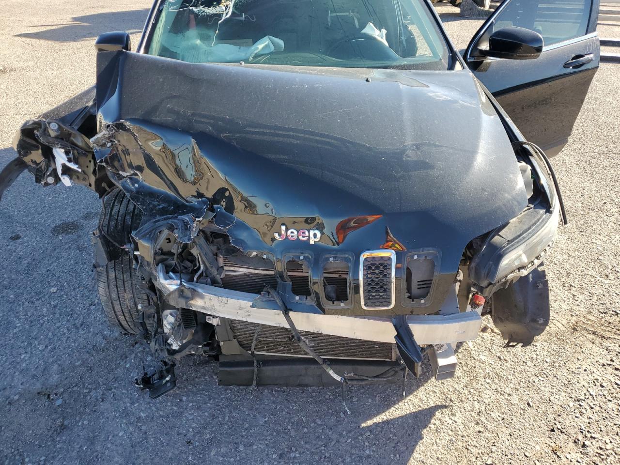 2019 Jeep Cherokee Latitude Plus VIN: 1C4PJLLB6KD262109 Lot: 86715065