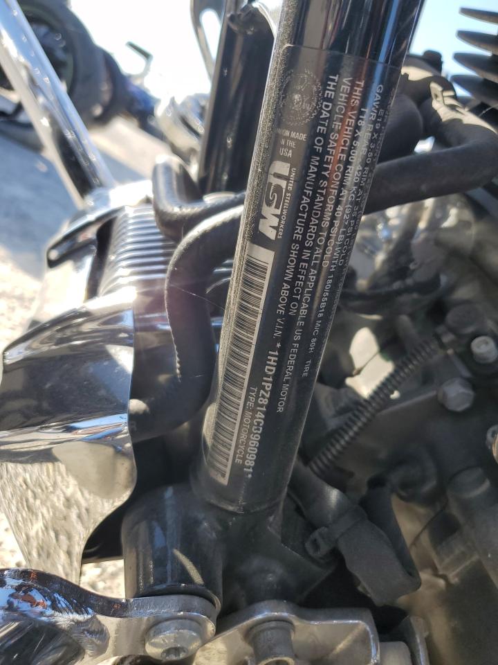 2012 Harley-Davidson Flhxse3 Cvo Street Glide VIN: 1HD1PZ814CB960981 Lot: 87394655