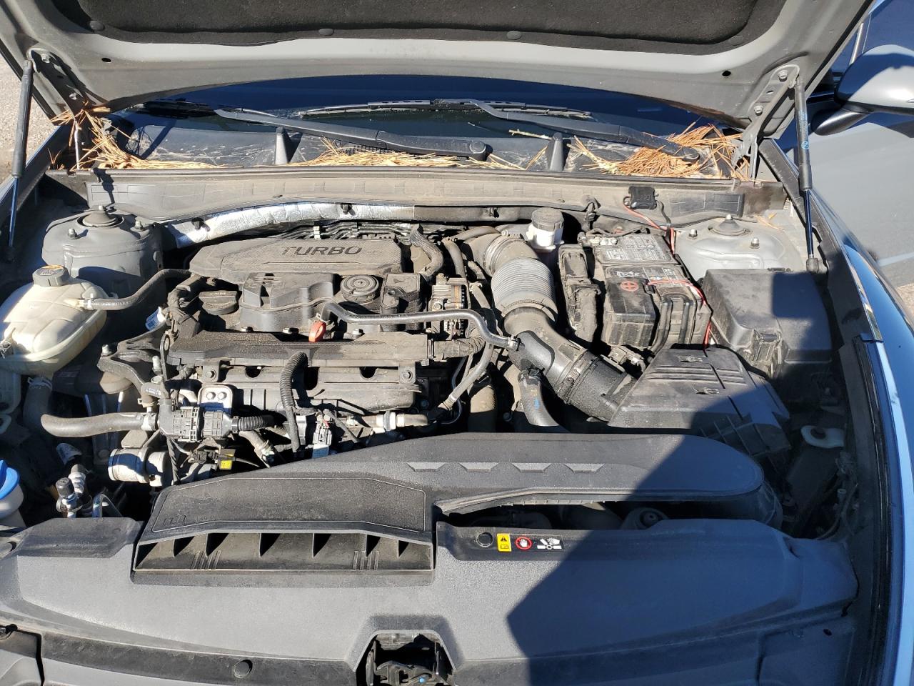 2020 Hyundai Sonata Limited VIN: 5NPEH4J25LH018250 Lot: 86509465