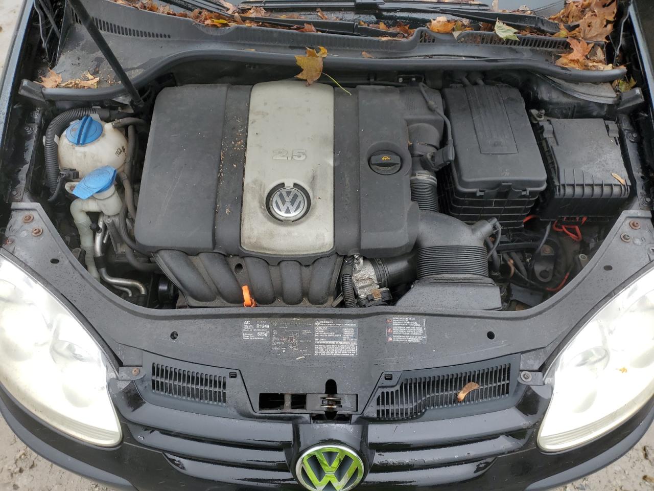 2007 Volkswagen Rabbit VIN: WVWAS71K47W023215 Lot: 86135815