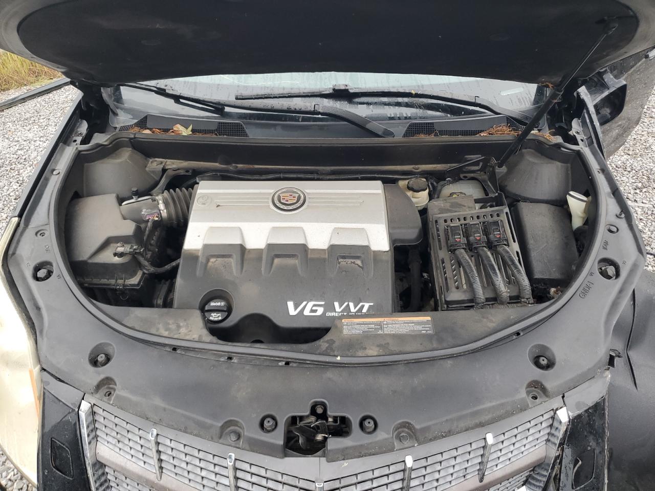 2010 Cadillac Srx Premium Collection VIN: 3GYFNFEY4AS524348 Lot: 81962745