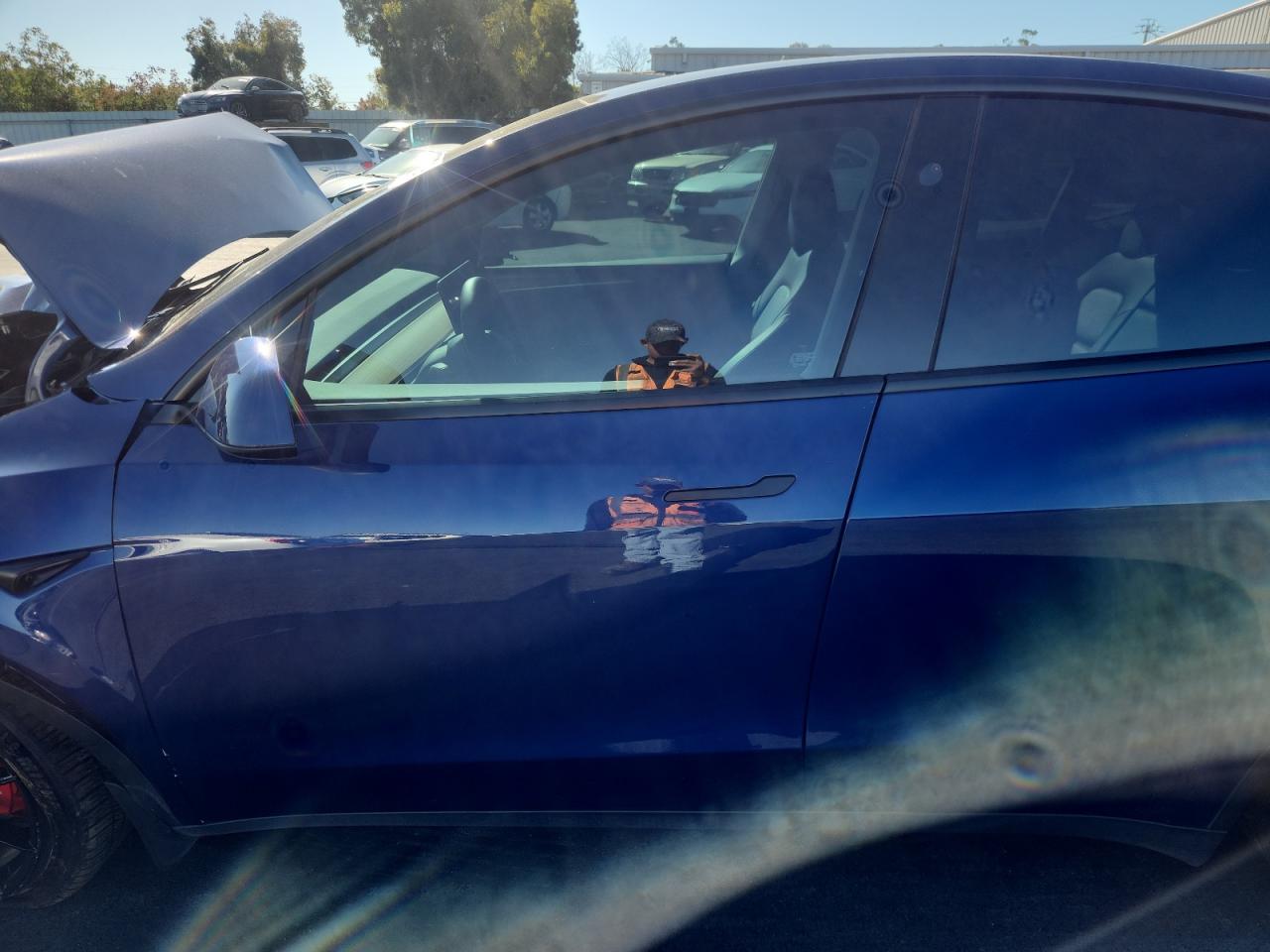 2023 Tesla Model Y VIN: 7SAYGDEF9PF812317 Lot: 85397715