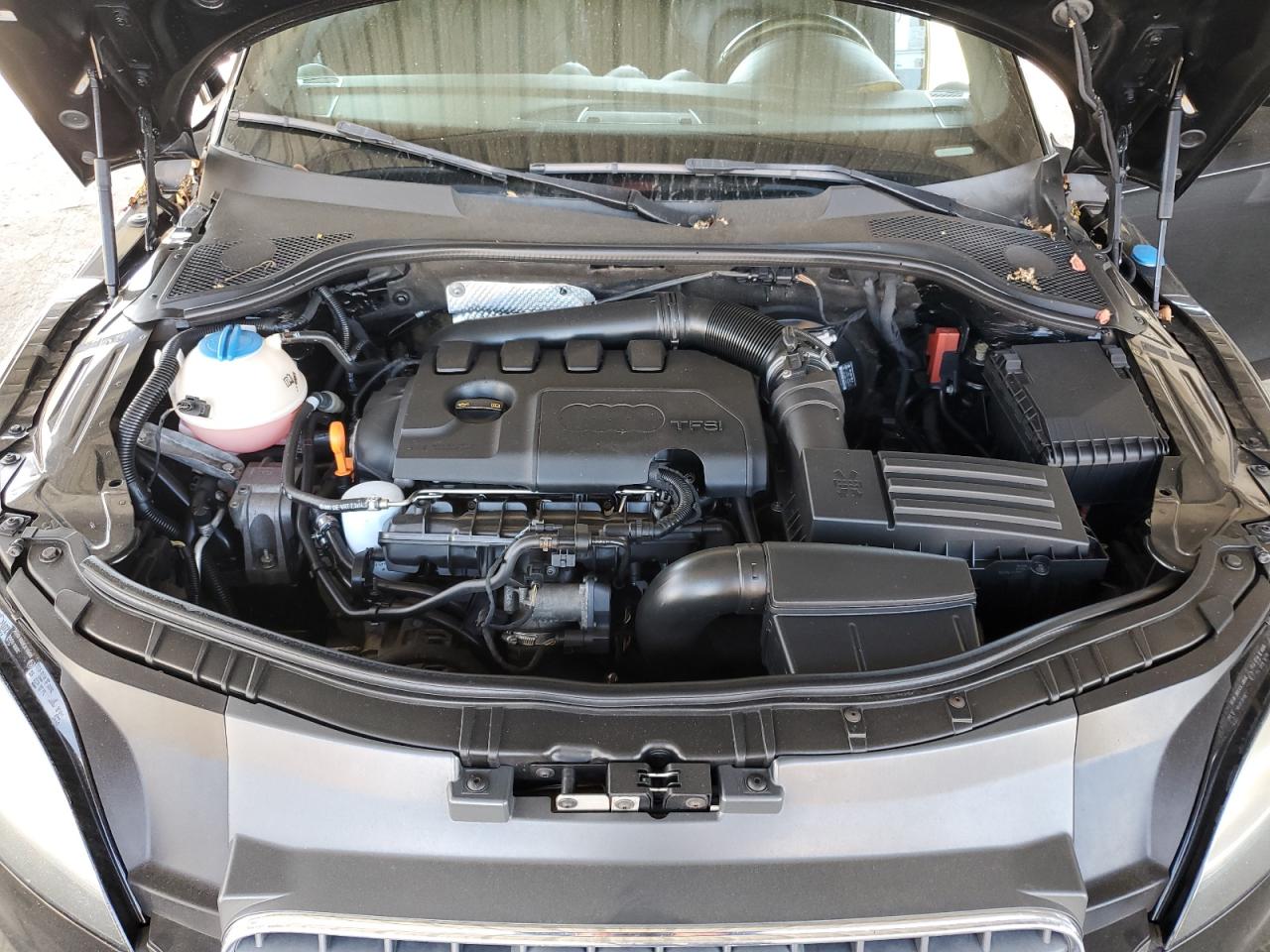 Фото: TRUVF38JX91024628