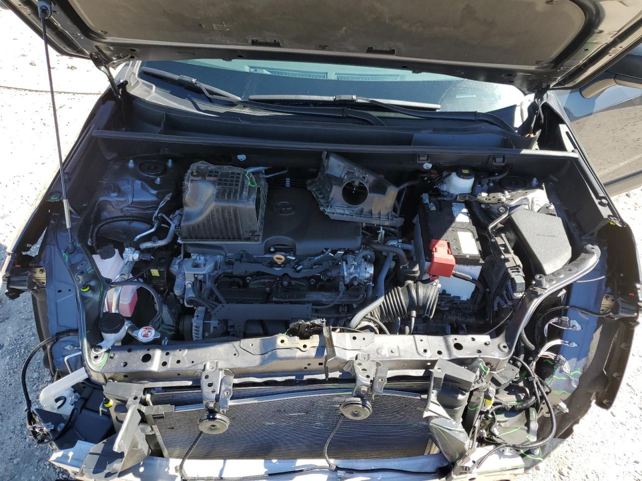 2024 Toyota Rav4 Le VIN: 2T3H1RFV5RW326117 Lot: 85882875