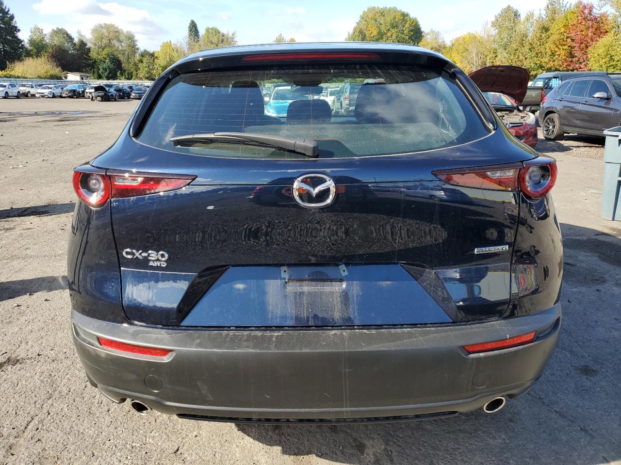 2024 Mazda Cx-30 VIN: 3MVDMBAM9RM618557 Lot: 86817165