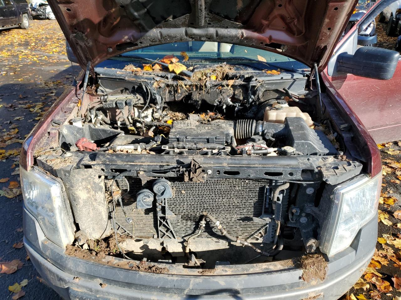 2009 Ford F150 VIN: 1FTRF12W79KB16326 Lot: 90464205