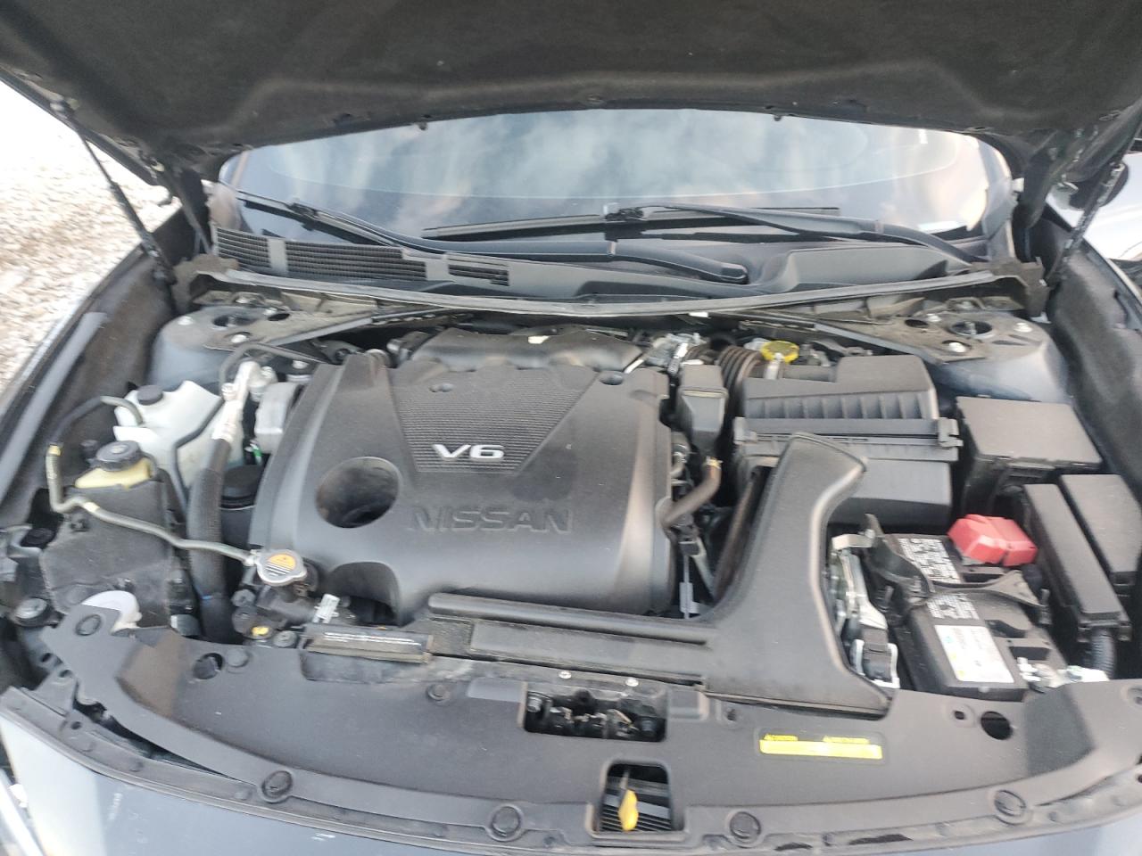 2023 Nissan Maxima Sr VIN: 1N4AA6EV3PC507160 Lot: 89710885