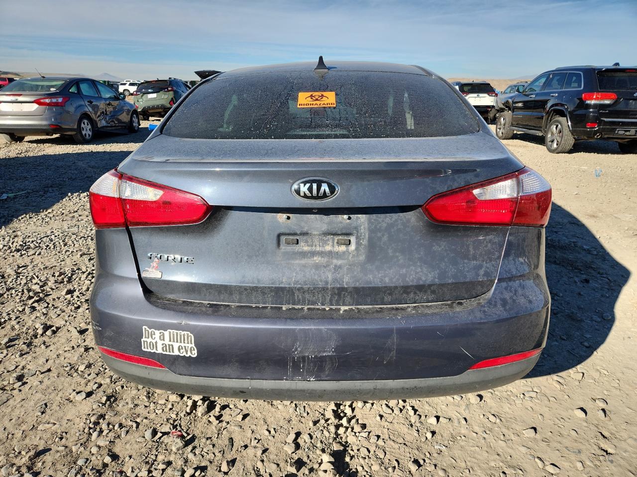 2016 Kia Forte Lx VIN: KNAFX4A62G5507203 Lot: 90130195