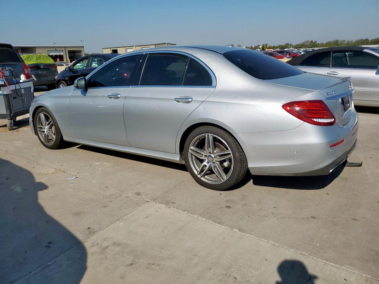 V (W213, S213, C238) V (W213, S213, C238)