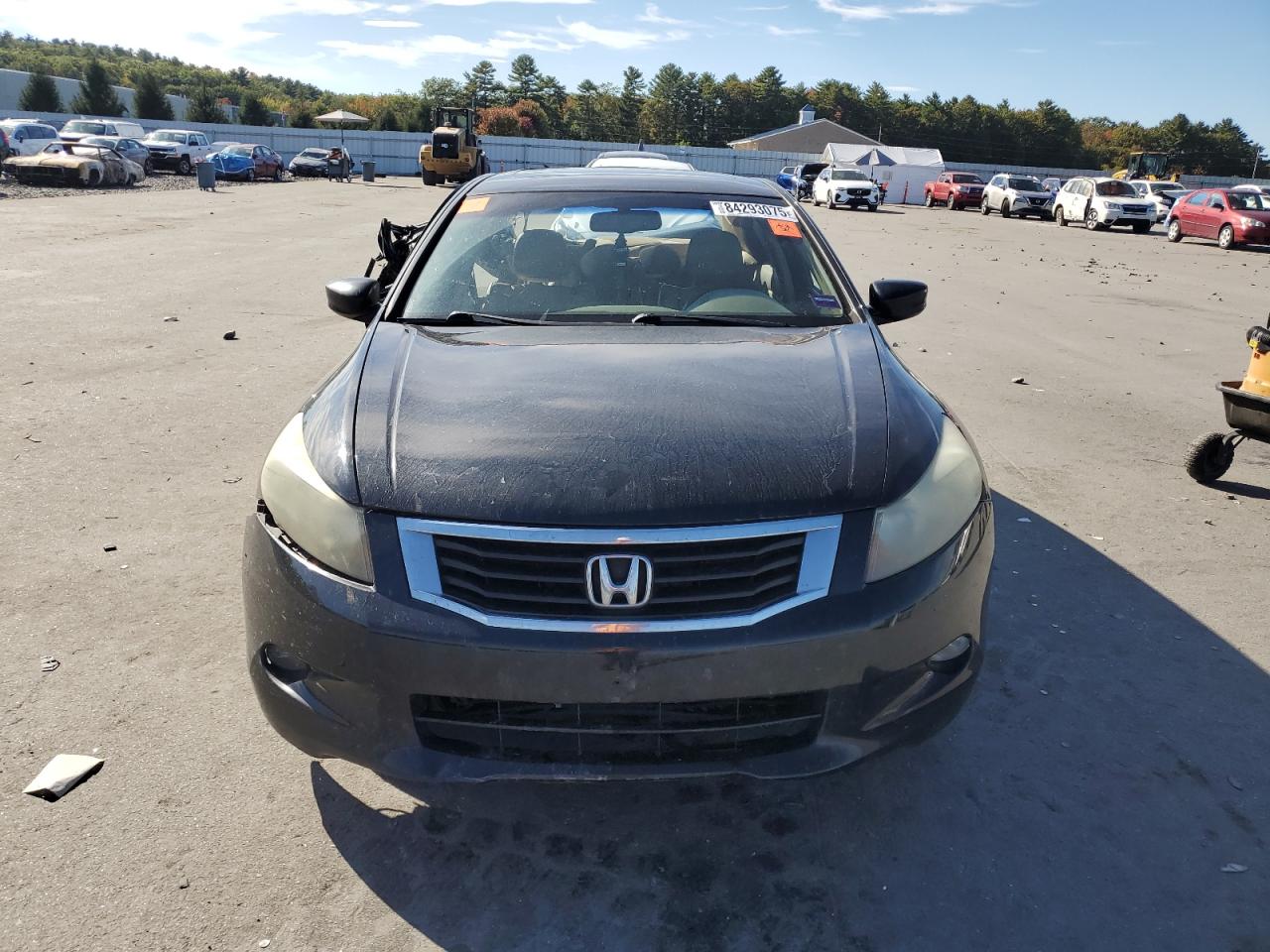 2010 Honda Accord Exl VIN: 1HGCP3F84AA007537 Lot: 84293075