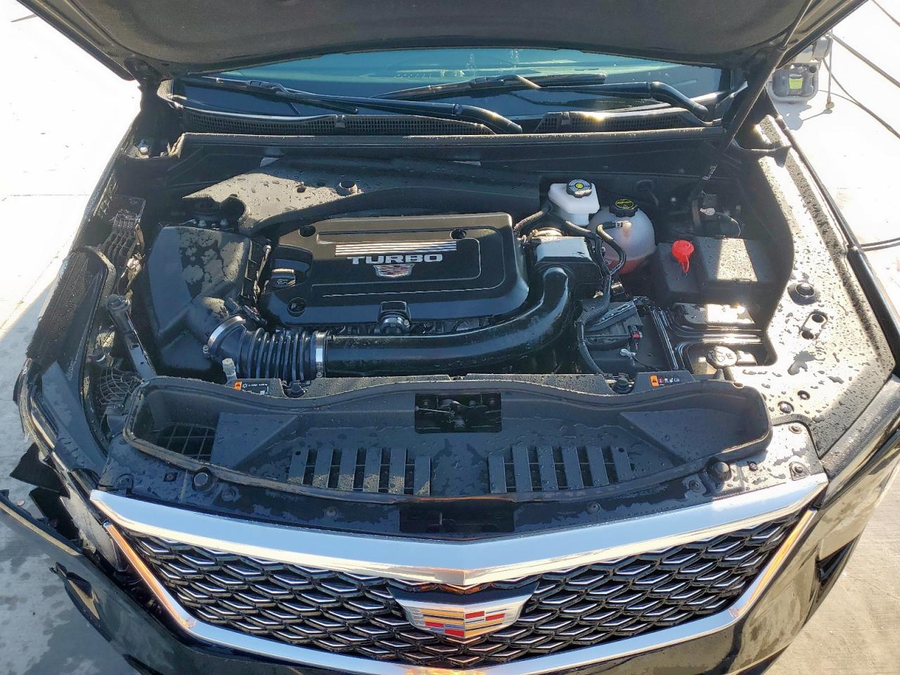2025 Cadillac Xt4 Premium Luxury VIN: 1GYFZCR4XSF156497 Lot: 84462065