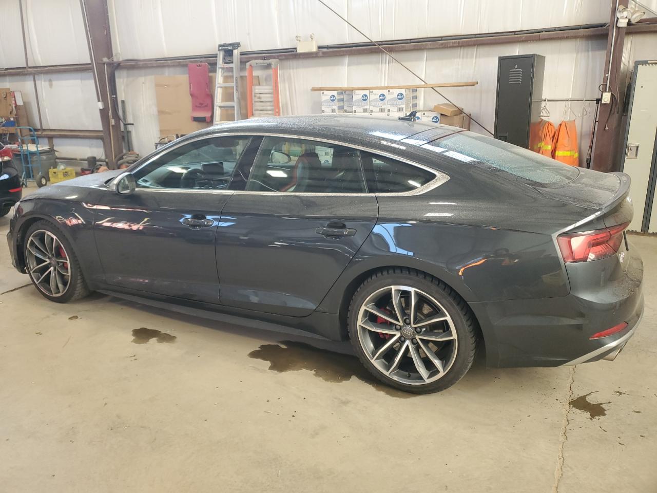 2019 Audi S5 Prestige grey null gas WAUC4CF54KA013365 photo #3